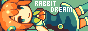 Rabbit dream